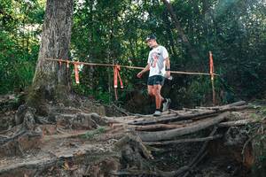 BIB: 
                            <button type="button" onclick="openModal(27754464)" class="btn btn-primary btn-sm float-right btn-popup" data-toggle="modal" data-target=".modal-high-quality">
                        <i class="fas fa-shopping-cart"></i> Add to Cart
                    </button>
                                            <button type="button" onclick="isThisMe(27754464, true)" class="btn btn-success btn-sm float-right btn-popup btn-isme hidden" data-toggle="tooltip" data-placement="bottom" title="นี่คือรูปของคุณใช่ไหม คลิกที่นี่เพื่อเอาเข้าอัลบั้ม">
                        <i class="fas fa-plus"></i> Add to album
                    </button>
                    <button type="button" onclick="isThisMe(27754464, false)" class="btn btn-warning btn-sm float-right btn-popup btn-isnotme hidden">
                        <i class="fas fa-ban"></i> Remove from album
                    </button>